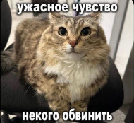 Аватара пользователя