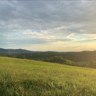 Аватара пользователя