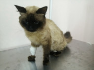 Аватара пользователя