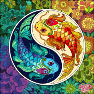 Аватара пользователя