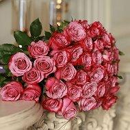 Аватара пользователя