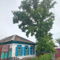 IMG_20260611_125742_567.jpg