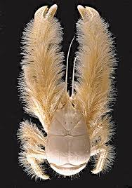 Помогите мне нужны деньги на операцию кто чем сможет перевод по номеру 89380796334 - 44F9C45C-B35E-4ADA-B61E-9F9D076237AE.jpeg