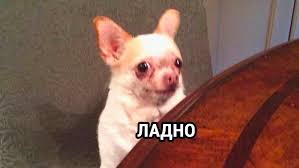 Уважаемые читатели. Пришлите хоть 50 рублей инвалиду на покушать - IMG_5462.jpeg