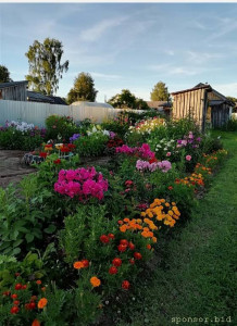 Прочитай если хочешь - Screenshot_20220813_043908.jpg