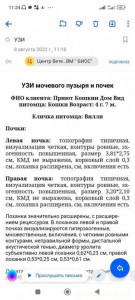 СРОЧНО СБОР СРЕДСТВ НА ОПЕРАЦИЮ КОТУ ВИЛЛИ. ЕМУ ОСТАЛОСЬ ДВЕ НЕДЕЛИ  - 4i5uXNzcjI0.jpg