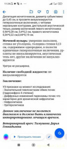 СРОЧНО СБОР СРЕДСТВ НА ОПЕРАЦИЮ КОТУ ВИЛЛИ. ЕМУ ОСТАЛОСЬ ДВЕ НЕДЕЛИ  - lmQRYUcWtE8.jpg