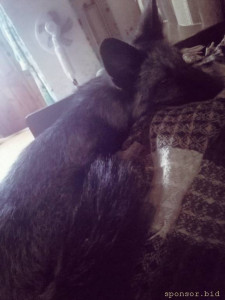 Продолжаю флудить никому не интересной фигней ^^ - oRSuK6a1gAw.jpg