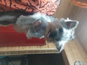 Помогите кто чем сможет - IMG_2022_08_23_23_44_37_9933561336491238172847.jpg