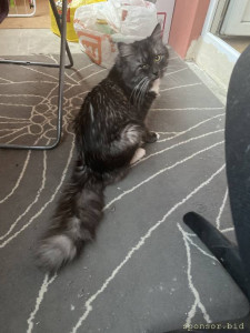 Помогите Тимофею - image.jpg