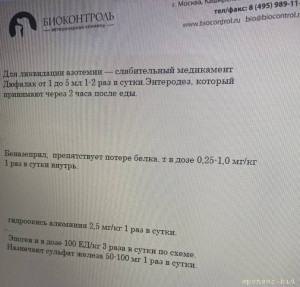 Помогите Тимофею - D337112B-7D73-48BC-BBA6-177FBA84C219.jpeg