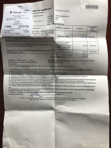 Помогите спасти друга хаски по имени Зак - B51FC823-D0E5-45F6-820D-A5752DDF4A9B.jpeg