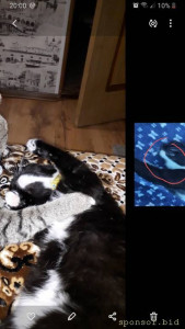 Очень нужен совет - Screenshot_20220901-200019_Gallery.jpg