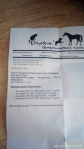 Пожалуйста, помогите щенку выжить  - P_20220917_145134.jpg