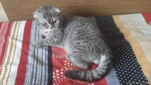 Помогите пожалуйста - 20220920_132839.jpg