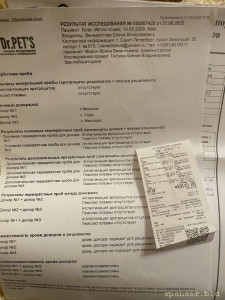 Помогите пожалуйста Блеку 128591; 128557; - 97BE9CD4-52FA-4D35-8276-3F8D99C0EFED.jpeg