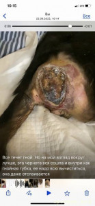 Помогите пожалуйста Блеку 128591; - 14B9EEBE-2DA6-4FFC-BB33-ED0EA67323C8.jpeg