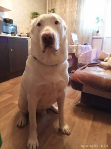 Помогите похоронить гражданского мужа по-человечески - IMG-20200608-WA0008.jpg