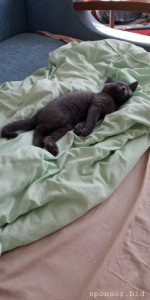 Помогите похоронить гражданского мужа по-человечески - IMG-20200818-WA0000.jpeg