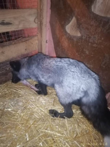 Продолжаю флудить никому не интересной фигней ^^ - IMG_20221009_194800.jpg