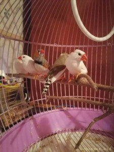 Продолжаю флудить никому не интересной фигней ^^ - IMG_20221009_174719.jpg