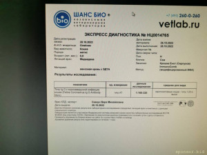 Помощь котенку Сэму - IMG-20221030-WA0008.jpg