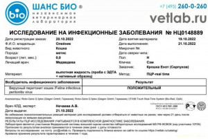 Помощь котенку Сэму - IMG_20221030_175520.jpg