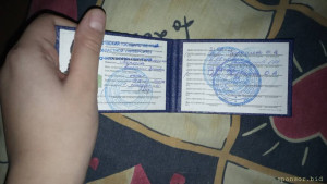 Мне очень неловко просить - IMG_2022_10_30_23_23_30_4535325315123619252068.jpg