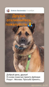 Кони нужна помощь 128591; - 1667536213290.jpg