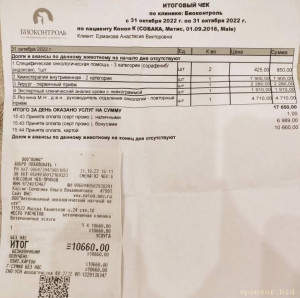 Кони нужна помощь 128591; - Screenshot_20221103_183425.jpg