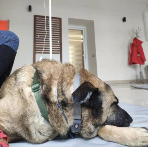 Кони нужна помощь 128591; - Screenshot_20221103_183405.jpg