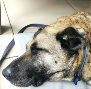 Кони нужна помощь 128591; - Screenshot_20221103_183349.jpg