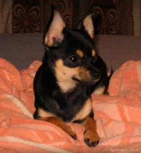 Помощь Яшке - 20221031_222108.jpg