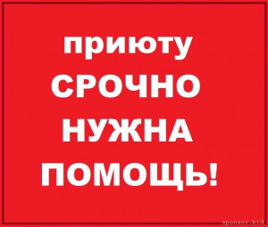 Помощь приюту - deToq6aC_UM.jpg