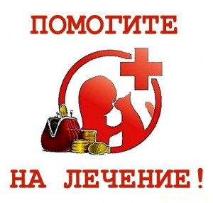 Помощь приюту - lPONkaXC9Rc.jpg