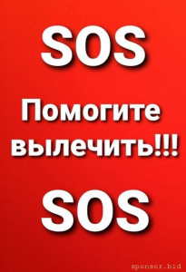 Помощь приюту - Z07sB9odaa0.jpg