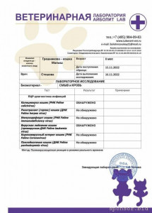 Помогите котику - IMG-20221120-WA0028.jpg