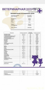 Помогите котику - IMG-20221117-WA0002.jpg