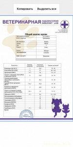 Помогите котику - IMG-20221117-WA0001.jpg