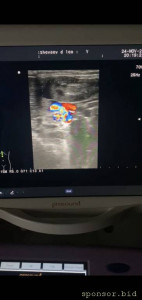 Помогите щеночку на операцию - Screenshot_20221125-230823_WhatsApp.jpg