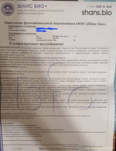 Помогите щеночку на операцию - 20221125_231119.jpg