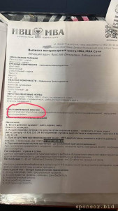 Нужна помощь на лечение собаки от эпилепсии - WhatsApp Image 2023-03-01 at 20.59.42.jpeg