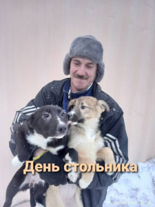 Огромный приют Хочу Домой , более 500 собак - ZICrWYLzsmE.jpg