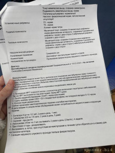 Очень срочно нужна помощь котику Вильяму - IMG_20230323_000800_035.jpg