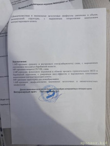 Очень срочно нужна помощь котику Вильяму - IMG_20230323_000429_930.jpg