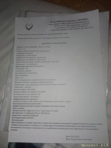 Котик выпал с пятого этажа - IMG_20230419_221833.jpg