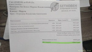 Помогите в оплате лечения и операции кошечке Марусе - 4.jpeg