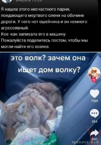 Друзья помогите пожалуйста - 2928021528.jpg