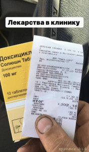 Помощь бездомным животным - IMG_3211.jpeg