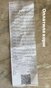 Помощь бездомным животным - IMG_3209.jpeg